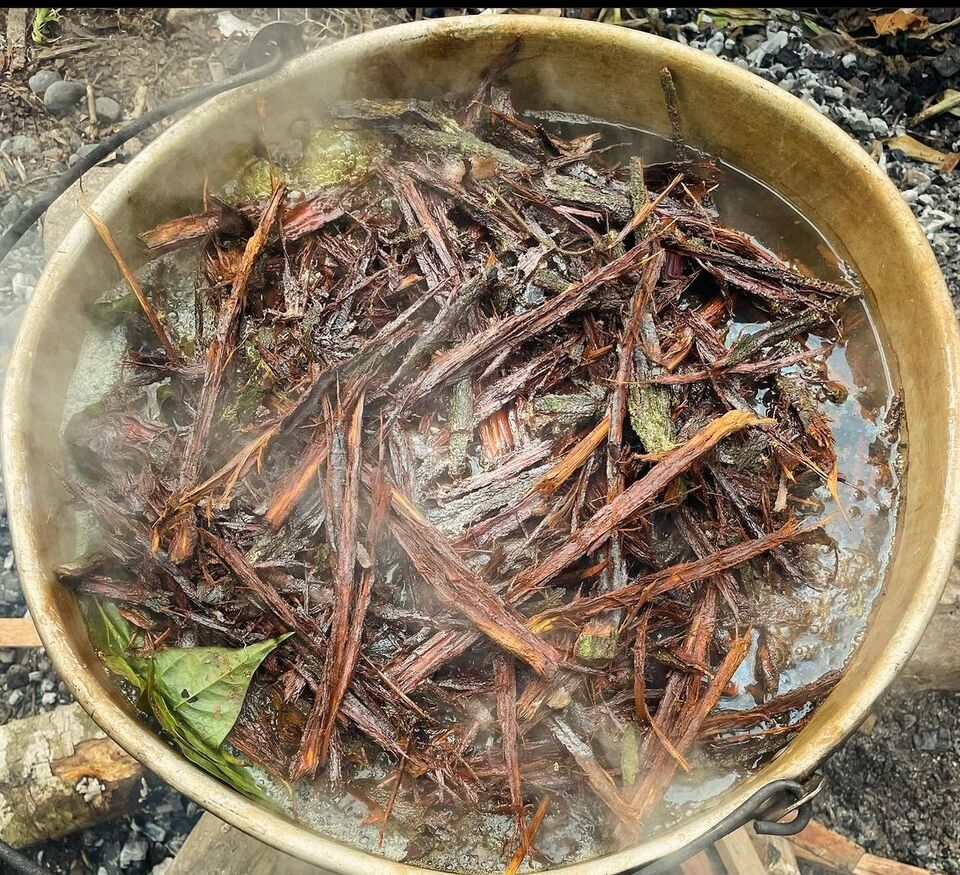 Why choose El Sol Ayahuasca Retreats
