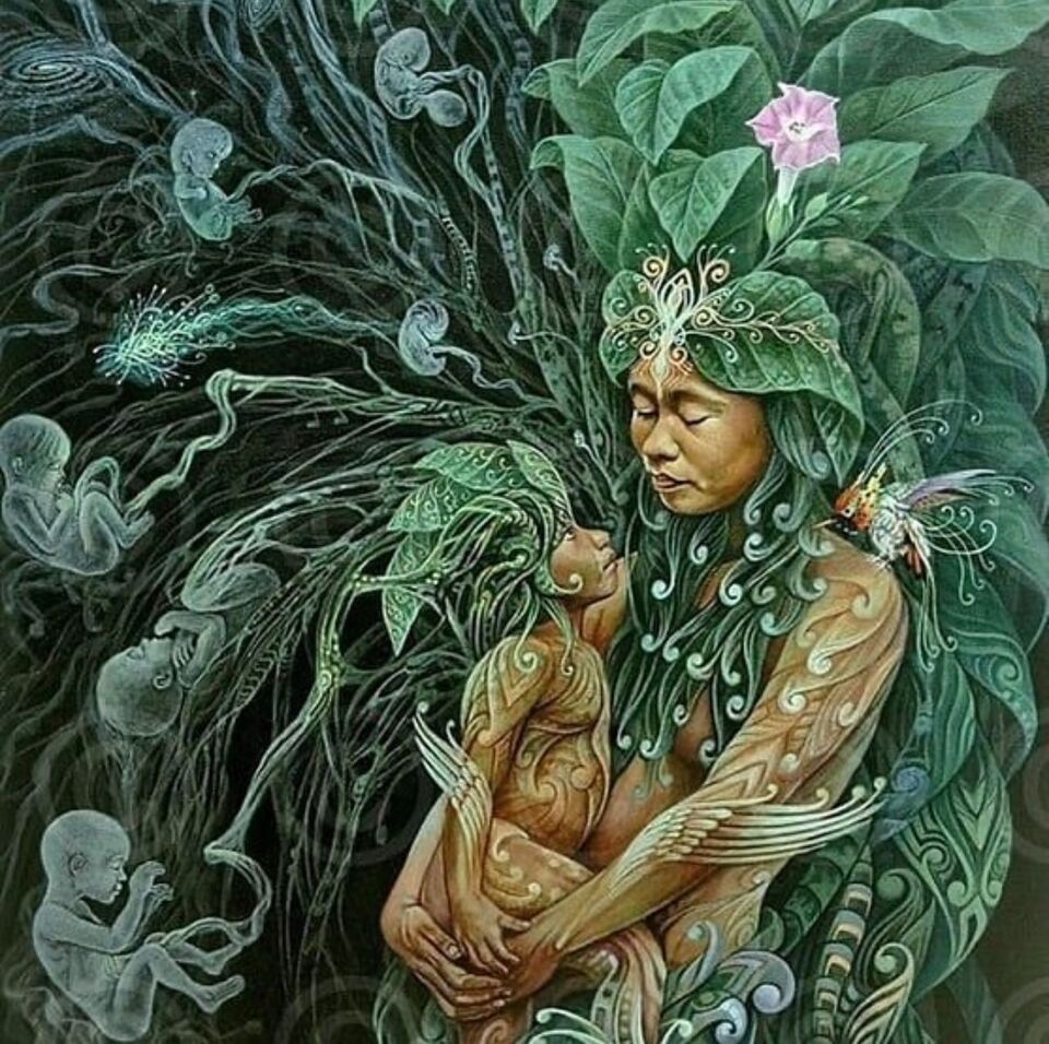 Why choose El Sol Ayahuasca Retreats