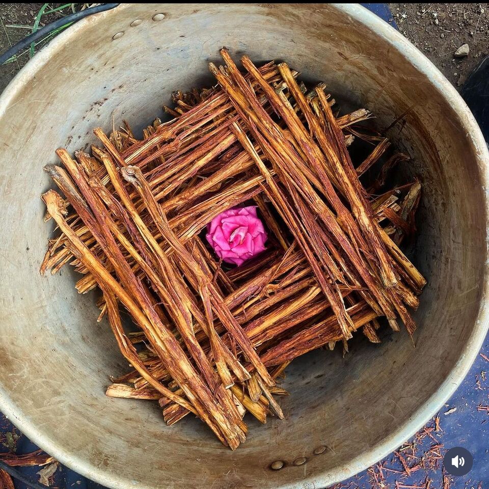 Why choose El Sol Ayahuasca Retreats