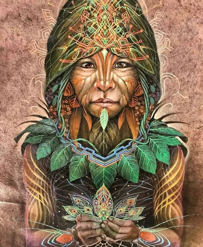 How to Choose an Ayahuasca Retreat Center